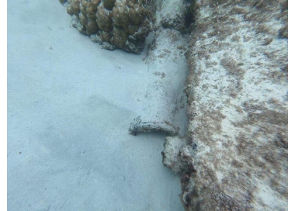2019–05-23 普吉海底发现约200年古大炮